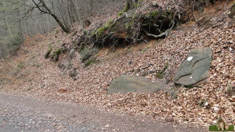 Ritterstein Nr. 103-04 Zum grossen Kanzelfelsen 330 Schr..JPG - Ritterstein Nr.103  Zum grossen Kanzelfelsen 330 Schr.                               